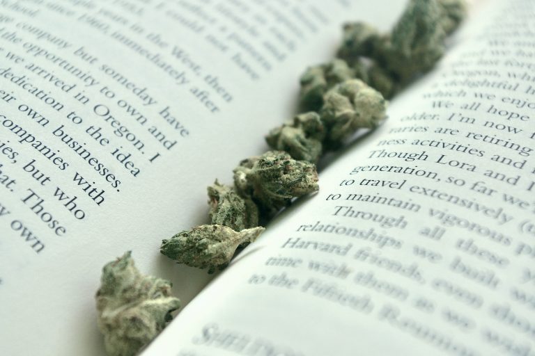 weed dictionary of other words for weed