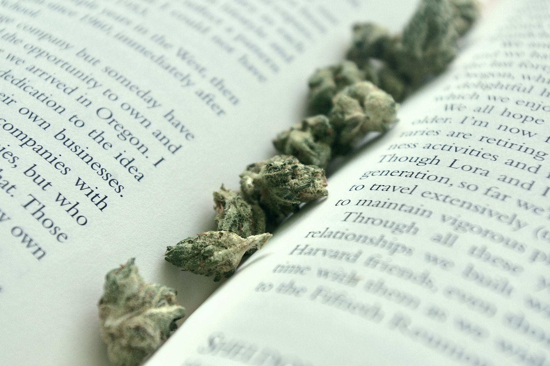 The Weed Dictionary: Stoners' Slang Explained